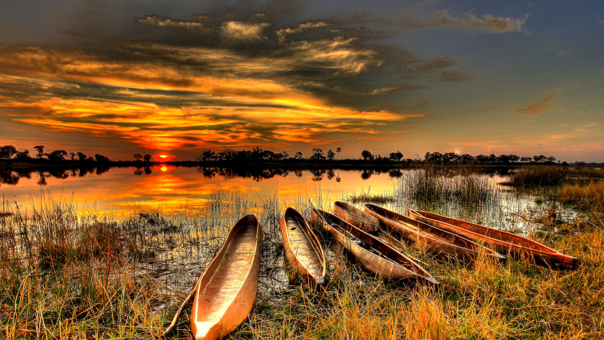 3-Länder Traumsafari